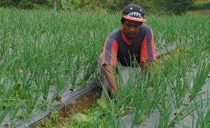 Bersiap menghadapi musim hujan
